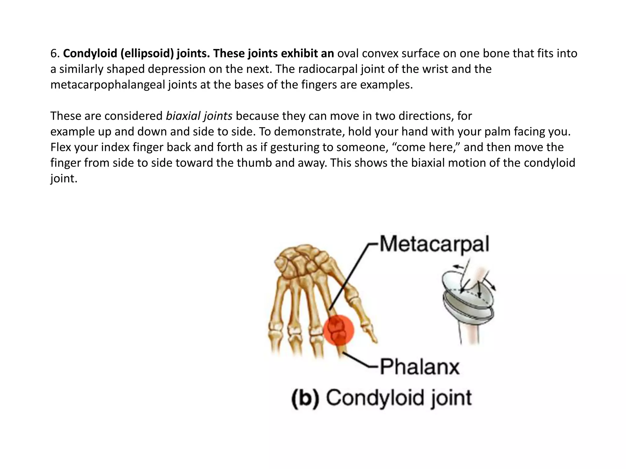 capitulum of humerus