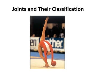 Joints and Their Classification