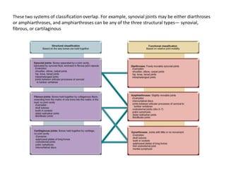 These two systems of classification overlap. For example, synovial joints may be either diarthroses or amphiarthroses, and amphiarthrosescan be any of the three structural types— synovial, fibrous, or cartilaginous