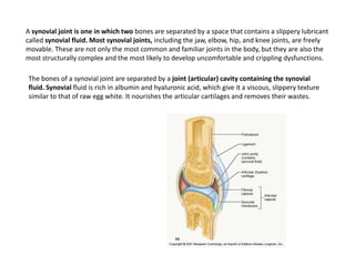 A synovial joint is one in which two bones are separated by a space that contains a slippery lubricant called synovial fluid. Most synovial joints, including the jaw, elbow, hip, and knee joints, are freely movable. These are not only the most common and familiar joints in the body, but they are also the most structurally complex and the most likely to develop uncomfortable and crippling dysfunctions.The bones of a synovial joint are separated by a joint (articular) cavity containing the synovial fluid. Synovial fluid is rich in albumin and hyaluronic acid, which give it a viscous, slippery texture similar to that of raw egg white. It nourishes the articular cartilages and removes their wastes.
