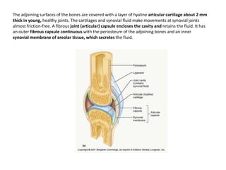 The adjoining surfaces of the bones are covered with a layer of hyaline articular cartilage about 2 mm thick in young, healthy joints. The cartilages and synovial fluid make movements at synovial joints almost friction-free. A fibrous joint (articular) capsule encloses the cavity and retains the fluid. It has an outer fibrous capsule continuous with the periosteum of the adjoining bones and an inner synovial membrane of areolar tissue, which secretes the fluid.