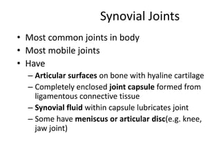 Synovial JointsMost common joints in bodyMost mobile jointsHaveArticular surfaces on bone with hyaline cartilageCompletely enclosed joint capsule formed from ligamentous connective tissueSynovial fluid within capsule lubricates jointSome have meniscus or articular disc(e.g. knee, jaw joint)