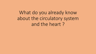 What do you already know
about the circulatory system
and the heart ?
 