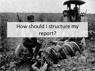 How should I structure my
report?
 