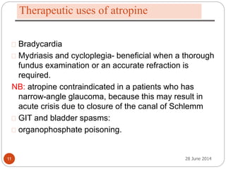 L 4: Cholinergic antagonists