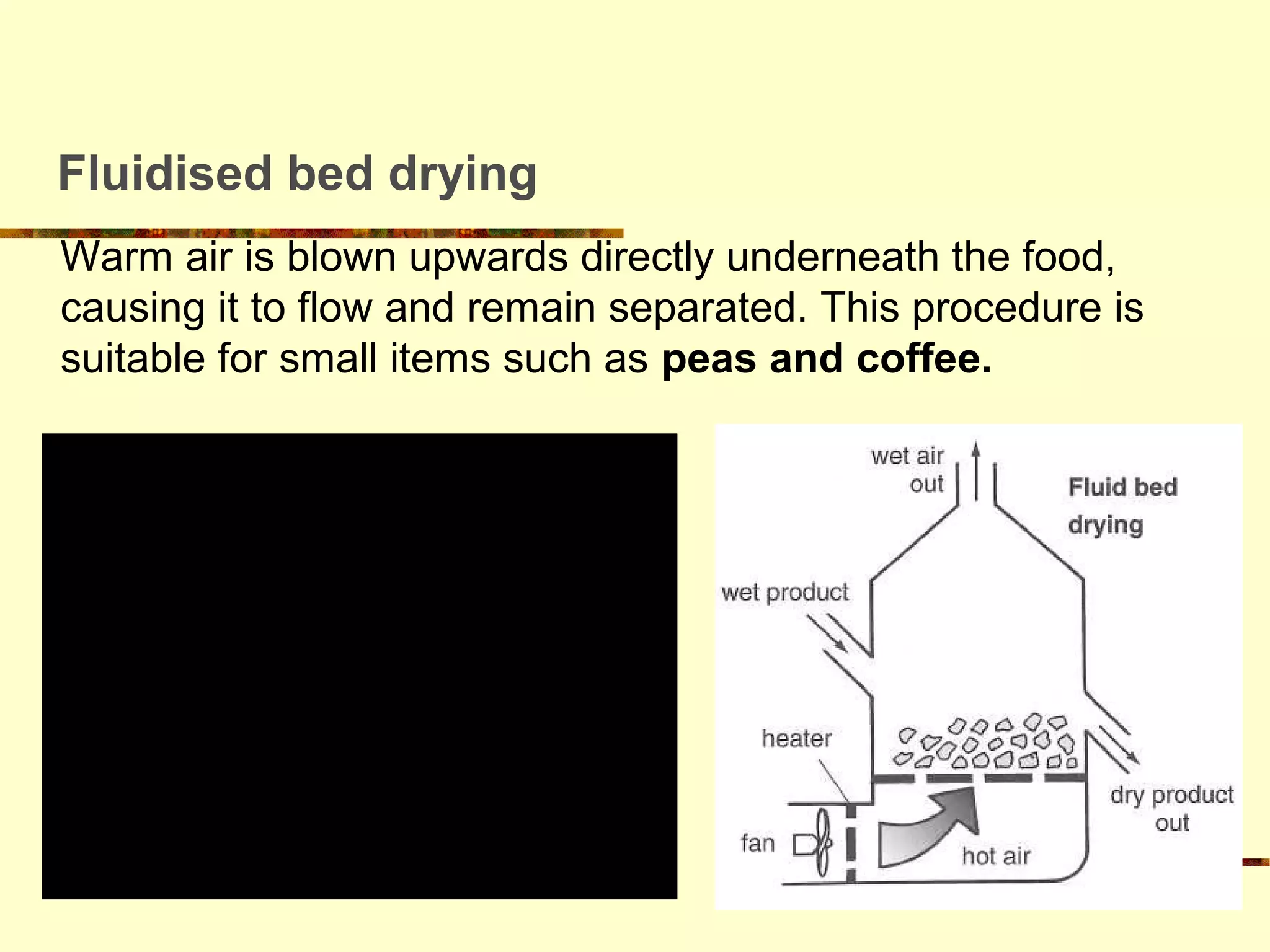 Drying of Fruits and Vegetables PPT