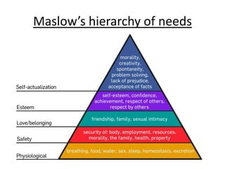 Maslow’s hierarchy of needs
 