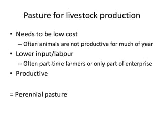 Pasture for livestock production
• Needs to be low cost
– Often animals are not productive for much of year
• Lower input/labour
– Often part-time farmers or only part of enterprise
• Productive
= Perennial pasture
 