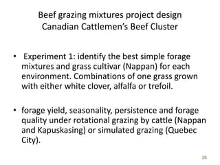 26
Beef grazing mixtures project design
Canadian Cattlemen’s Beef Cluster
• Experiment 1: identify the best simple forage
mixtures and grass cultivar (Nappan) for each
environment. Combinations of one grass grown
with either white clover, alfalfa or trefoil.
• forage yield, seasonality, persistence and forage
quality under rotational grazing by cattle (Nappan
and Kapuskasing) or simulated grazing (Quebec
City).
 