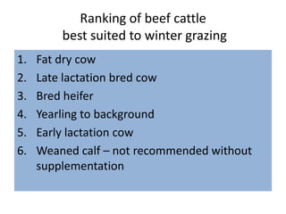 Ranking of beef cattle
best suited to winter grazing
1. Fat dry cow
2. Late lactation bred cow
3. Bred heifer
4. Yearling to background
5. Early lactation cow
6. Weaned calf – not recommended without
supplementation
 