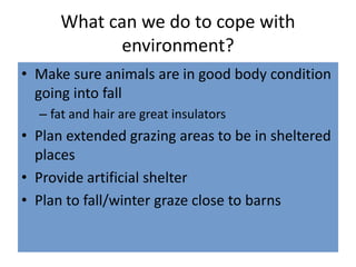What can we do to cope with
environment?
• Make sure animals are in good body condition
going into fall
– fat and hair are great insulators
• Plan extended grazing areas to be in sheltered
places
• Provide artificial shelter
• Plan to fall/winter graze close to barns
 