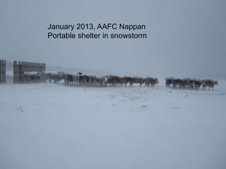 45
January 2013, AAFC Nappan
Portable shelter in snowstorm
 