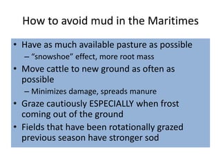 How to avoid mud in the Maritimes
• Have as much available pasture as possible
– “snowshoe” effect, more root mass
• Move cattle to new ground as often as
possible
– Minimizes damage, spreads manure
• Graze cautiously ESPECIALLY when frost
coming out of the ground
• Fields that have been rotationally grazed
previous season have stronger sod
 