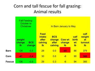 Corn and tall fescue for fall grazing:
Animal results
Fall Feeding:
October to
Christmas In Barn January to May
weight
change
lb
BCS
change
Feed
intake
after
calving
lb
BCS
change
after
calving
Cow wt
change
lb
calf
birth
wt
lb
calf
weight
at
turnout
lb
Barn 126 -0.5 29 0.0 -41 88 379
Corn -41 -1.4 30 0.0 -6 90 349
Fescue 106 -0.9 29 0.3 -6 94 385
 