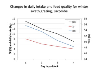 44
46
48
50
52
54
56
58
0
2
4
6
8
10
12
14
16
1 2 3 4
TDN(%)
CP(%)anddailyintake(kg)
Day in paddock
dmi
cp
tdn
Changes in daily intake and feed quality for winter
swath grazing, Lacombe
 