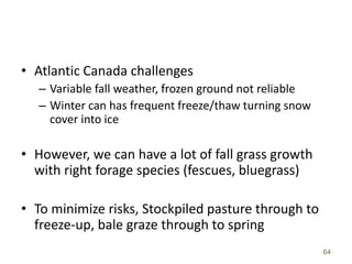 • Atlantic Canada challenges
– Variable fall weather, frozen ground not reliable
– Winter can has frequent freeze/thaw turning snow
cover into ice
• However, we can have a lot of fall grass growth
with right forage species (fescues, bluegrass)
• To minimize risks, Stockpiled pasture through to
freeze-up, bale graze through to spring
64
 