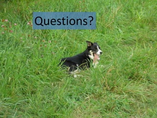 Sheep on pasture
Questions?
 