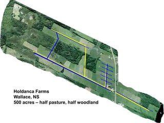 Holdanca Farms
Wallace, NS
500 acres – half pasture, half woodland
 