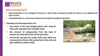 Species interaction in biotic interaction | PDF