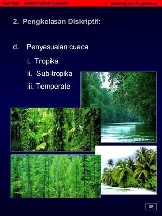 AGR 3506  :  PRINSIP SAINS TANAMAN   1.  Morfologi dan Pengkelasan 08 d.  Penyesuaian cuaca i.  Tropika iii. Temperate ii.  Sub-tropika 2.  Pengkelasan Diskriptif: 