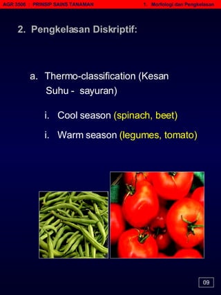 AGR 3506  :  PRINSIP SAINS TANAMAN   1.  Morfologi dan Pengkelasan 09 Thermo-classification (Kesan Suhu -  sayuran) i.  Cool season  (spinach, beet)   i.  Warm season  (legumes, tomato)   2.  Pengkelasan Diskriptif: 