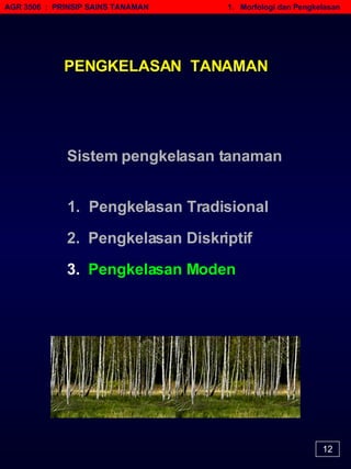 AGR 3506  :  PRINSIP SAINS TANAMAN   1.  Morfologi dan Pengkelasan 1.  Pengkelasan Tradisional Sistem pengkelasan tanaman 2.  Pengkelasan Diskriptif 3.   Pengkelasan Moden PENGKELASAN  TANAMAN 12 