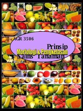 AGR 3506   Prinsip Sains Tanaman   Morfologi & Pengkelasan 