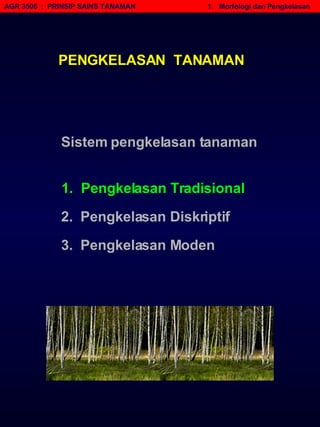 AGR 3506  :  PRINSIP SAINS TANAMAN   1.  Morfologi dan Pengkelasan 1.  Pengkelasan Tradisional Sistem pengkelasan tanaman 2.  Pengkelasan Diskriptif 3.  Pengkelasan Moden PENGKELASAN  TANAMAN 