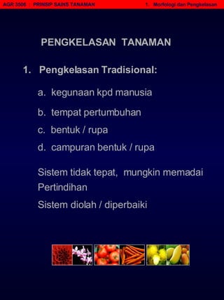 AGR 3506  :  PRINSIP SAINS TANAMAN   1.  Morfologi dan Pengkelasan 1.  Pengkelasan Tradisional: a.  kegunaan kpd manusia  b.  tempat pertumbuhan c.  bentuk / rupa d.  campuran bentuk / rupa PENGKELASAN  TANAMAN Sistem tidak tepat,  mungkin memadai Pertindihan Sistem diolah / diperbaiki 