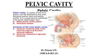 L4- PELVIC CAVITY PART 2-1.pptx