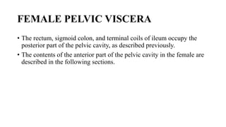 L4- PELVIC CAVITY PART 2-1.pptx