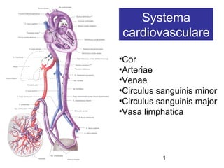 Systema
           cardiovasculare

           •Cor
           •Arteriae
           •Venae
           •Circulus sanguinis minor
           •Circulus sanguinis major
           •Vasa limphatica




03.01.13              1
 