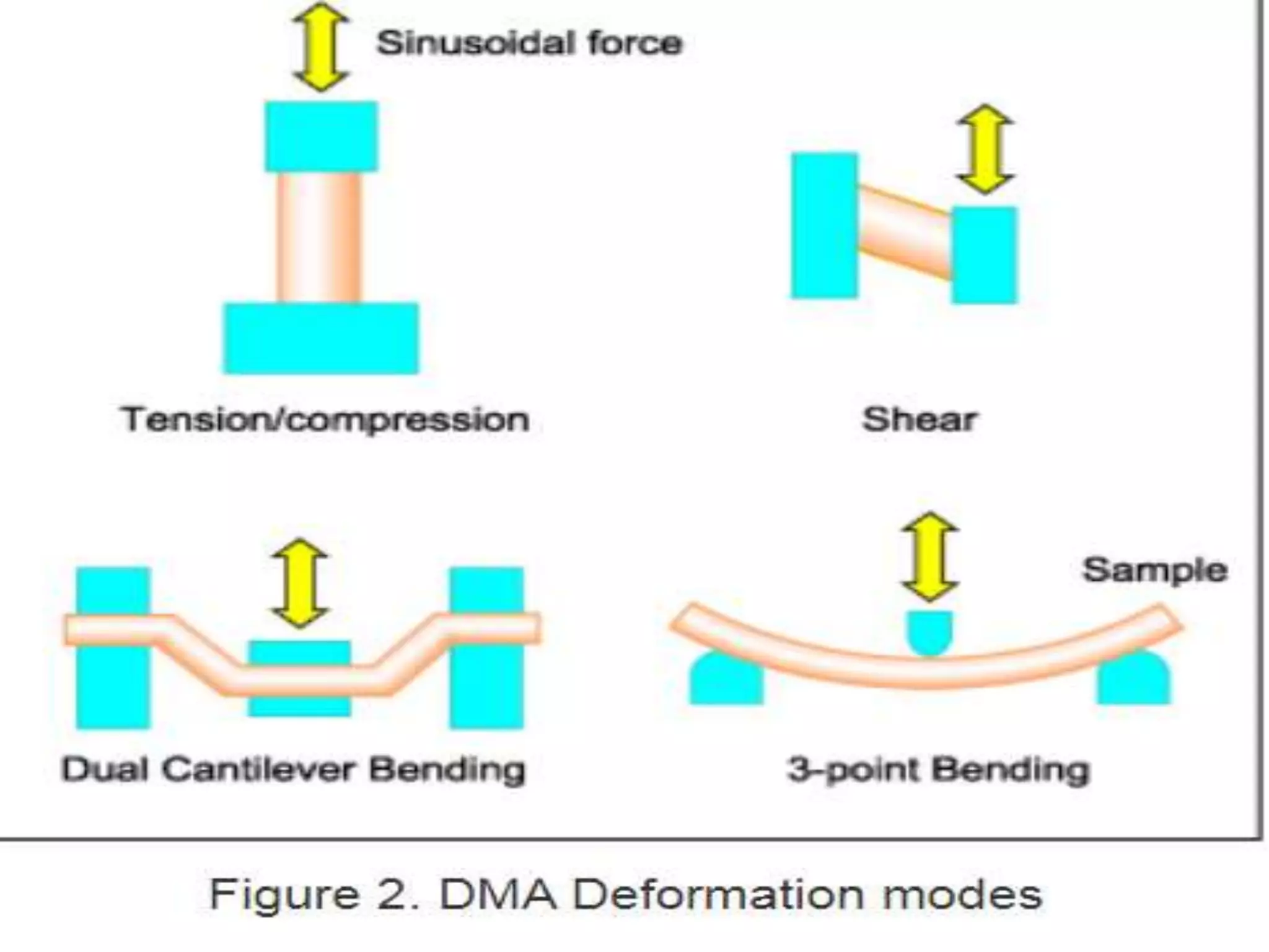 dynamic mechanical analysis