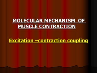 Shell Contraction L4+5 -Muscle_Contraction_(Dr_taha) and nmj medical.2020.ppt