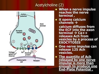 L4+5 -Muscle_Contraction_(Dr_taha) and nmj medical.2020.ppt