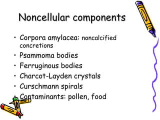 Noncellular componentsNoncellular components
• Corpora amylacea: noncalcified
concretions
• Psammoma bodies
• Ferruginous bodies
• Charcot-Layden crystals
• Curschmann spirals
• Contaminants: pollen, food
 