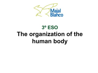 3º ESO
The organization of the
human body
 