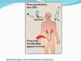 Rivavirin Injection