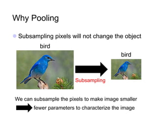 convolutional neural networks for machine learning | PDF