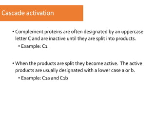 L4 Complement System.pdf
