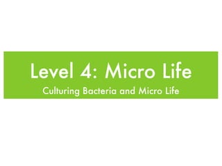 Level 4: Micro Life
 Culturing Bacteria and Micro Life
 