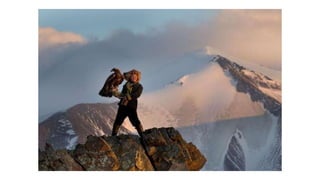 L4 different perspectives