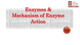 Enzymes &
Mechanism of Enzyme
Action
 