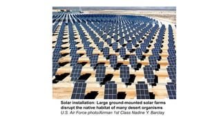Solar installation: Large ground-mounted solar farms
disrupt the native habitat of many desert organisms
U.S. Air Force photo/Airman 1st Class Nadine Y. Barclay
 