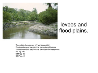 levees and flood plains. To explain the causes of river deposition  To describe and explain the formation of levees To describe and explain the formation of floodplains NT pg 106 B&P pg 85 CGP pg44 