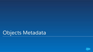 Objects Metadata
 