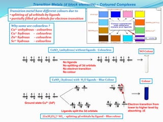 Coloured Complexes L4 Metal ligand complex ions (whithout narration).pptx