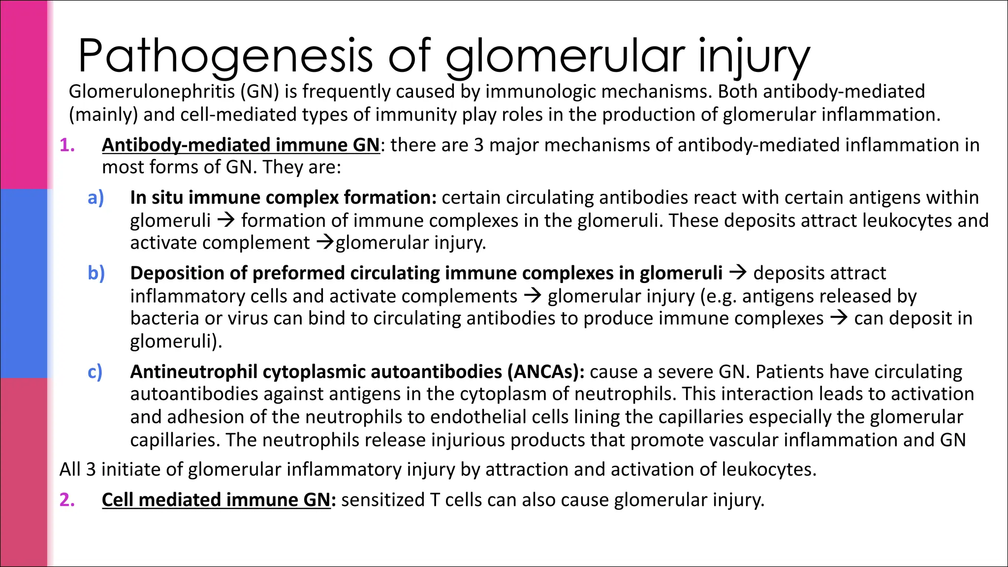 Pathogenesis of glomerular injury
Glomerulonephritis (GN) is frequently caused by immunologic mechanisms. Both antibody-mediated
(mainly) and cell-mediated types of immunity play roles in the production of glomerular inflammation.
1. Antibody-mediated immune GN: there are 3 major mechanisms of antibody-mediated inflammation in
most forms of GN. They are:
a) In situ immune complex formation: certain circulating antibodies react with certain antigens within
glomeruli à formation of immune complexes in the glomeruli. These deposits attract leukocytes and
activate complement àglomerular injury.
b) Deposition of preformed circulating immune complexes in glomeruli à deposits attract
inflammatory cells and activate complements à glomerular injury (e.g. antigens released by
bacteria or virus can bind to circulating antibodies to produce immune complexes à can deposit in
glomeruli).
c) Antineutrophil cytoplasmic autoantibodies (ANCAs): cause a severe GN. Patients have circulating
autoantibodies against antigens in the cytoplasm of neutrophils. This interaction leads to activation
and adhesion of the neutrophils to endothelial cells lining the capillaries especially the glomerular
capillaries. The neutrophils release injurious products that promote vascular inflammation and GN
All 3 initiate of glomerular inflammatory injury by attraction and activation of leukocytes.
2. Cell mediated immune GN: sensitized T cells can also cause glomerular injury.
 