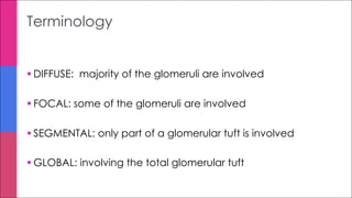 § DIFFUSE: majority of the glomeruli are involved
§ FOCAL: some of the glomeruli are involved
§ SEGMENTAL: only part of a glomerular tuft is involved
§ GLOBAL: involving the total glomerular tuft
Terminology
 