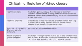 Clinical manifestation of kidney disease
Nephritic syndrome Results from glomerular injury à acute onset of prominent
hematuria (red blood cells in urine), mild to moderate proteinuria,
azotemia, edema and hypertension (e.g. acute poststreptococcal
glomerulonephritis).
Nephrotic syndrome characterized by heavy proteinuria (excretion of more than 3.5 g
of protein/day in urine), hypoalbuminemia, severe edema,
hyperlipidemia, and lipiduria (lipid in the urine).
Asymptomatic hematuria
&/or non-nephrotic
proteinuria
a sign of mild glomerular abnormalities.
Rapidly progressive
glomerulonephritis
Results from severe glomerular injury à loss of renal function within
days or weeks à hematuria, dysmorphic red blood cells, red blood
cell casts in urine sediments, mild to moderate proteinuria.
 